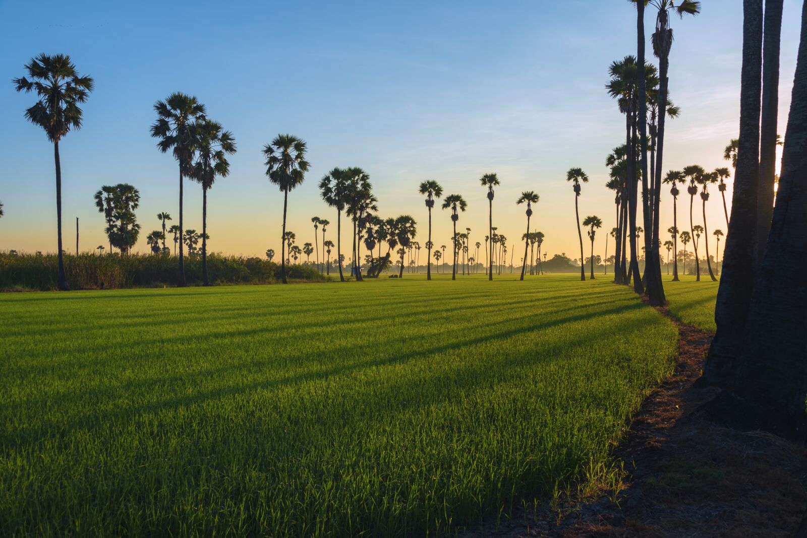 Nikon D750 sample photo. Landscape, travel, sunset photography