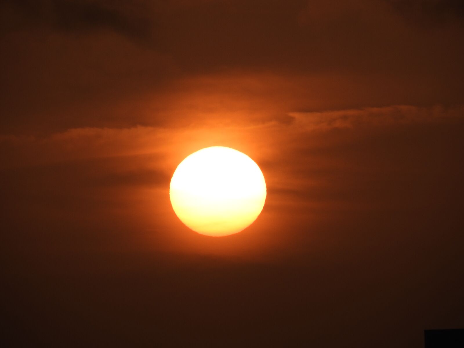 Nikon Coolpix P610 sample photo. Sun, sunny, sunset photography
