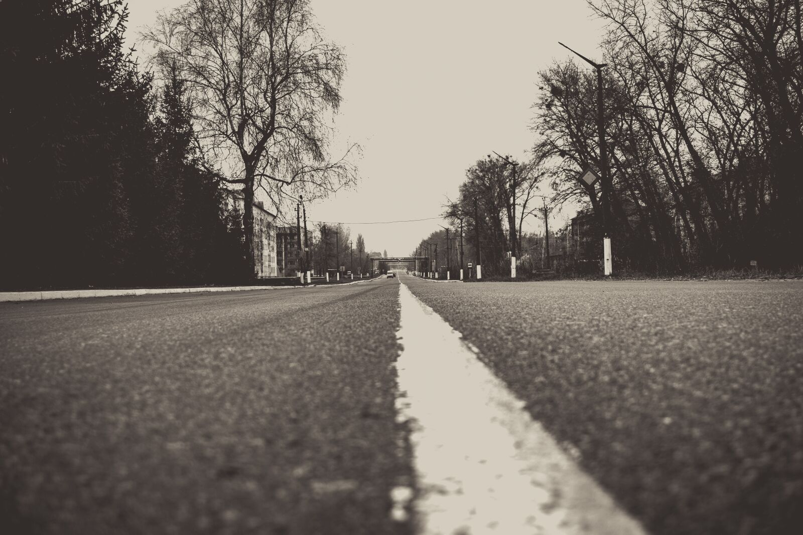 Sony a6000 sample photo. Evacuation, chernobyl, road photography