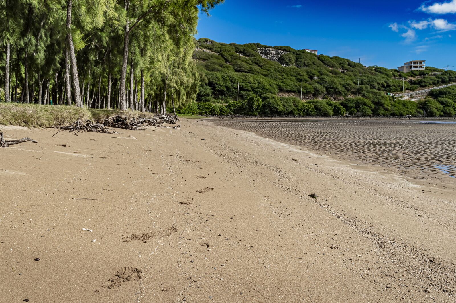 Nikon D3200 sample photo. Sea, beach, water photography