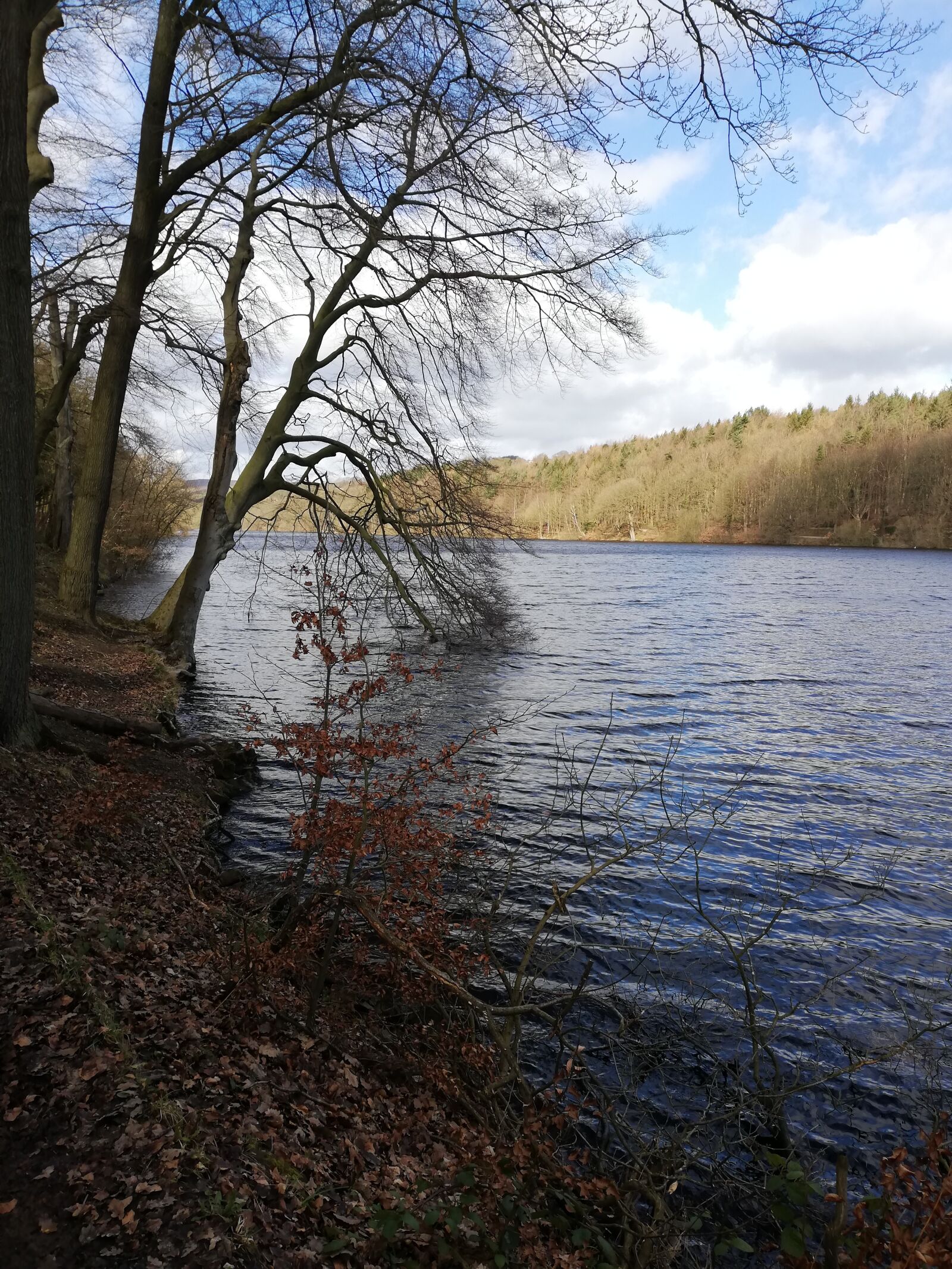 HUAWEI P20 lite sample photo. Outdoors, lake, landscape photography