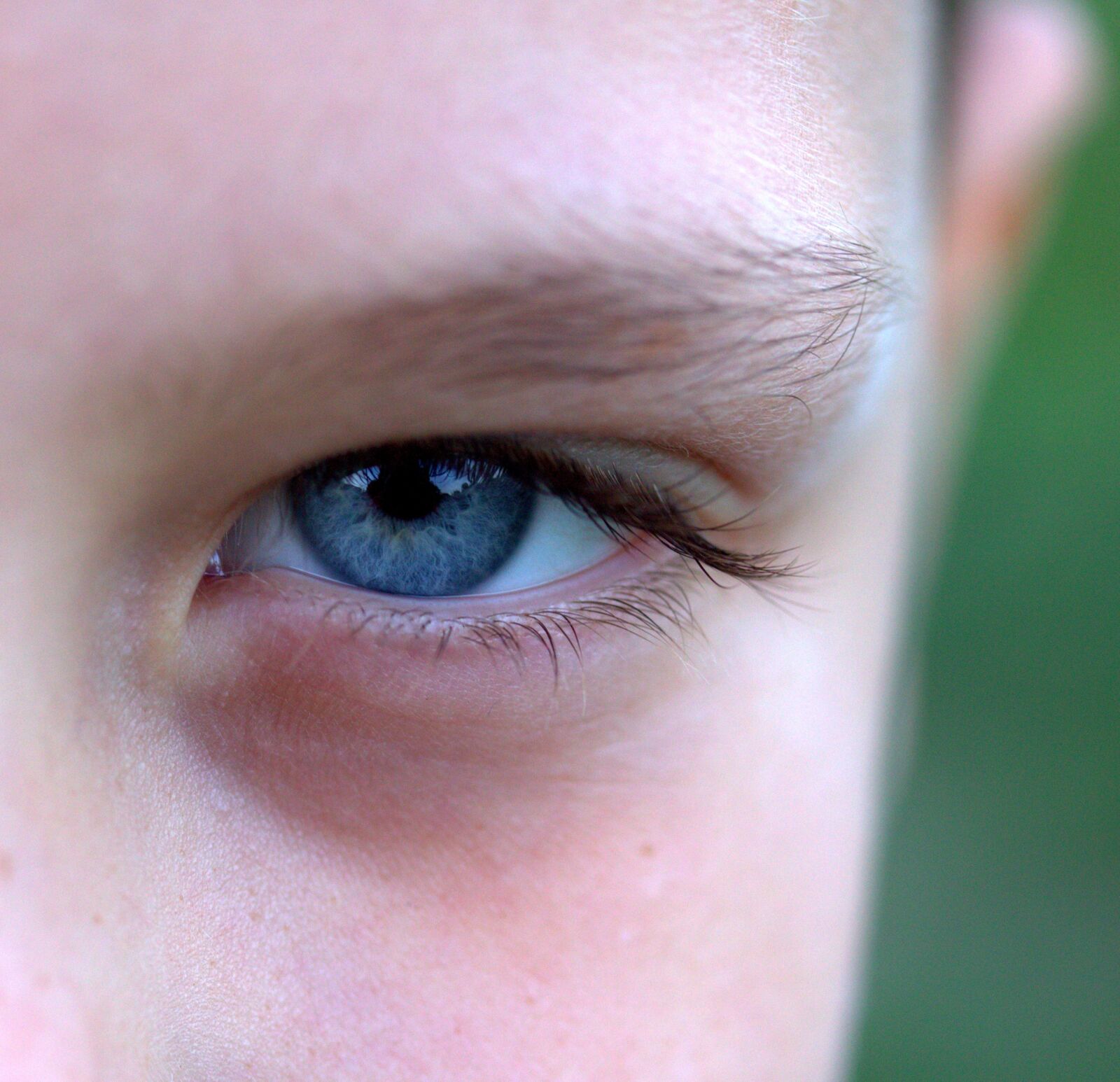 Canon EF-S 60mm F2.8 Macro USM sample photo. Eye, blue, iris photography