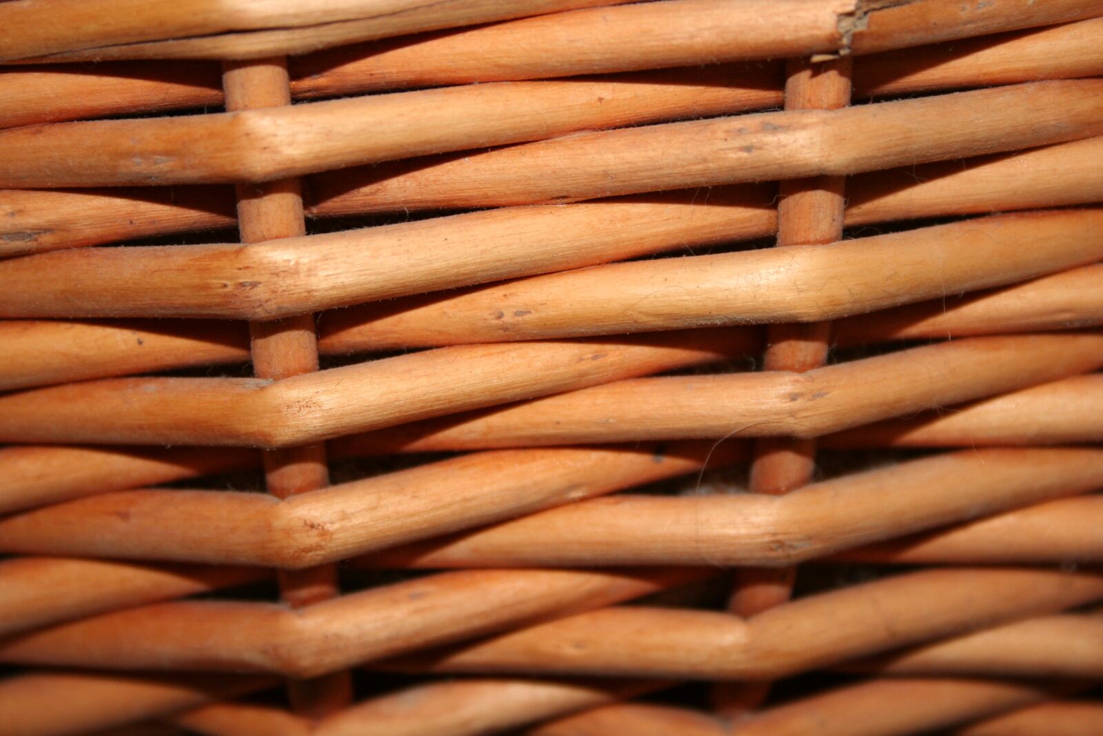 Canon EOS 350D (EOS Digital Rebel XT / EOS Kiss Digital N) sample photo. Structure, basket, pasture photography