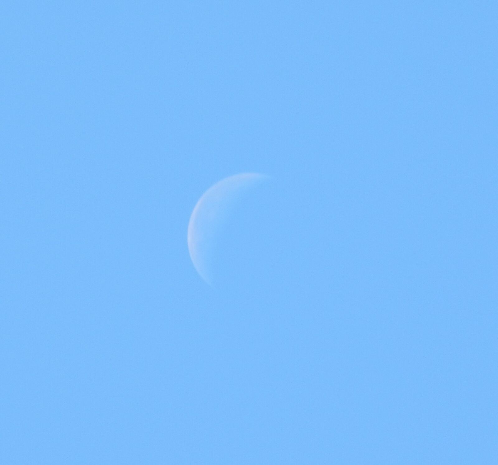 Nikon Coolpix L830 sample photo. Daytime moon, moon, blue photography