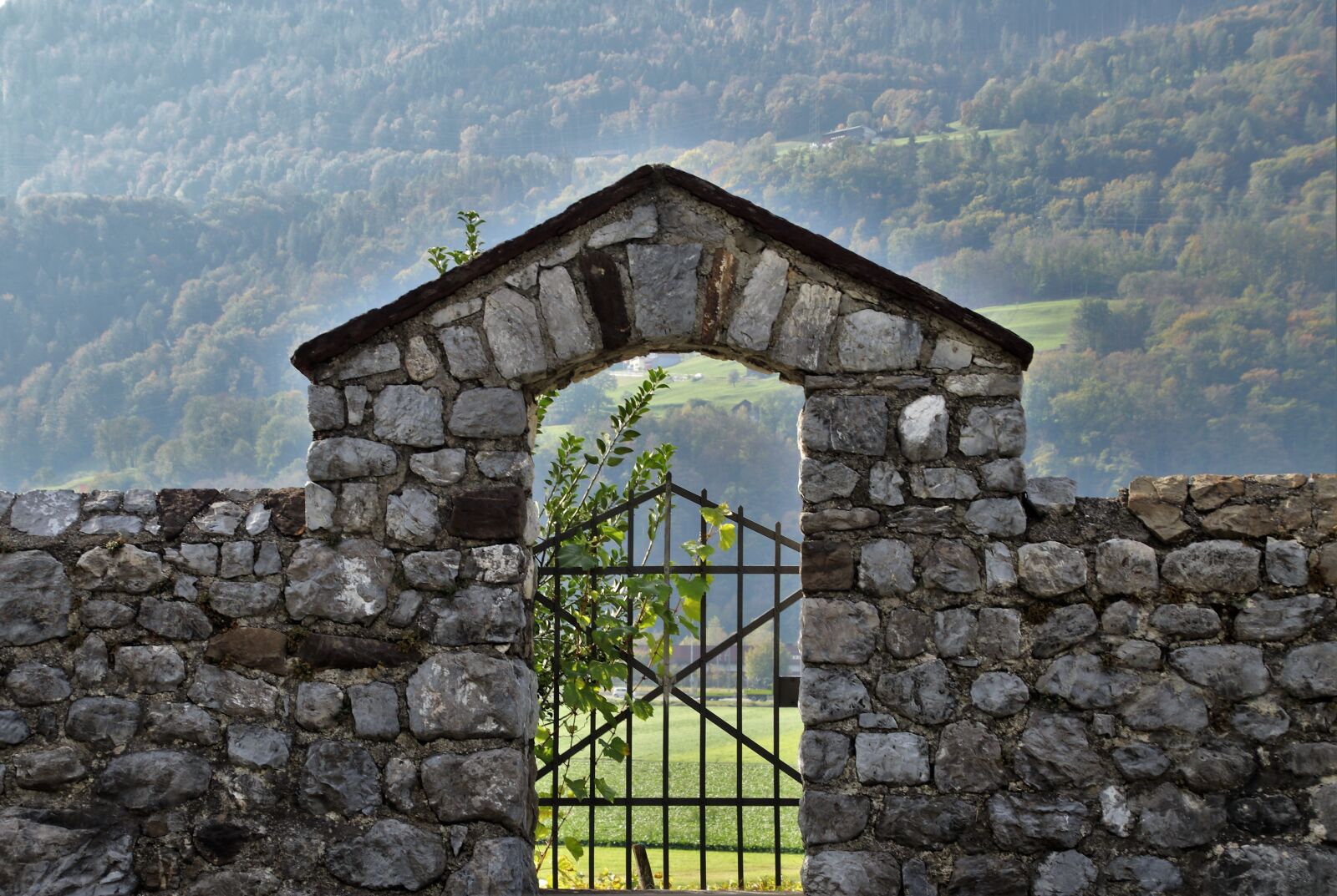 Canon EOS 80D sample photo. Lake dusia, stone, vineyard photography