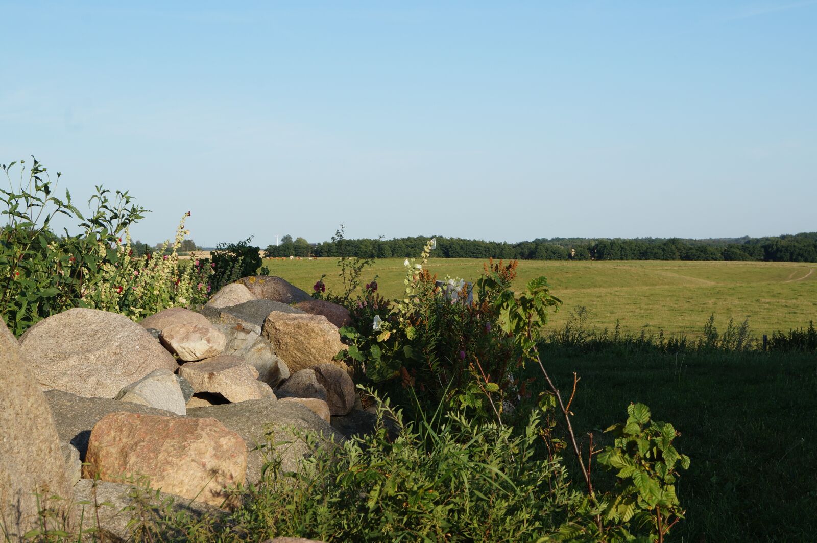 Sony SLT-A57 sample photo. Landscape, pasture, meadow photography