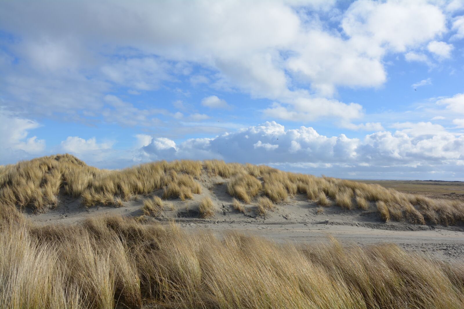 Nikon D5200 sample photo. Holland, dunes, ameland photography