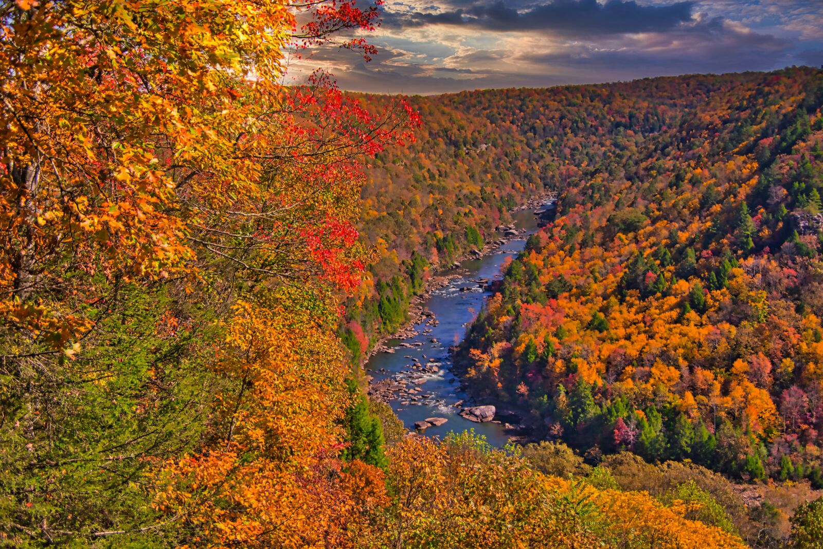 Nikon D800 sample photo. New river, trees, fall photography