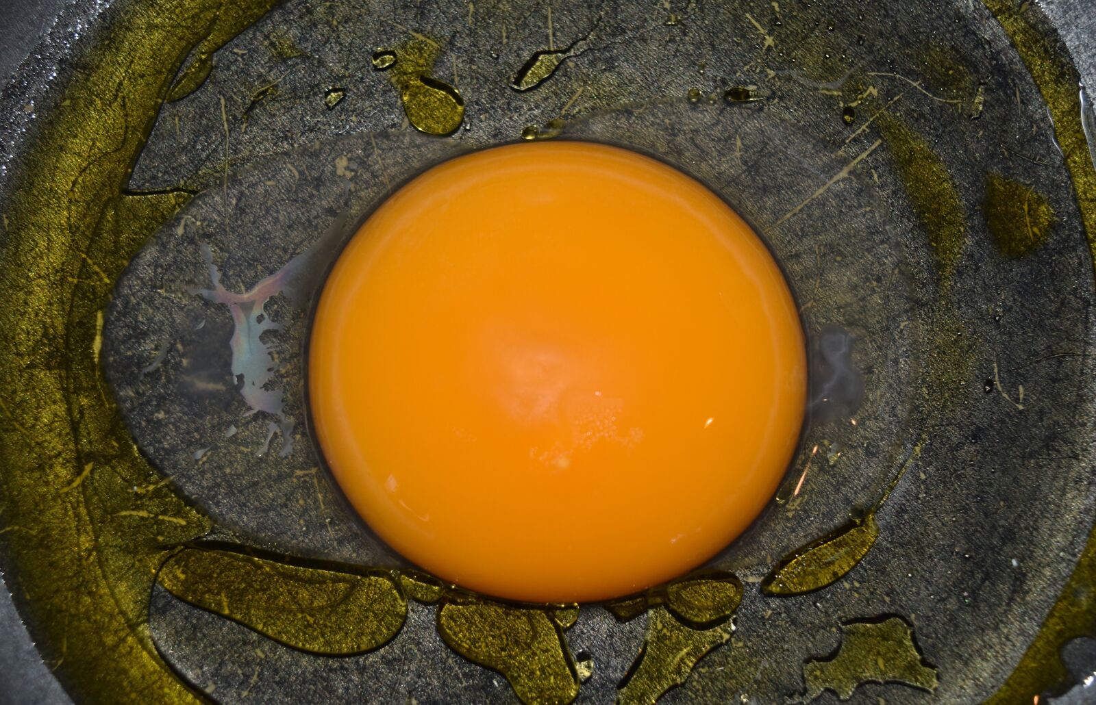Nikon D5500 sample photo. Goose egg, egg, oca photography