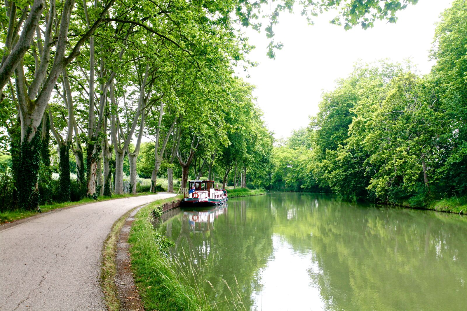 Canon EOS 5D Mark II sample photo. Canaldumidi, toulouse, trees photography