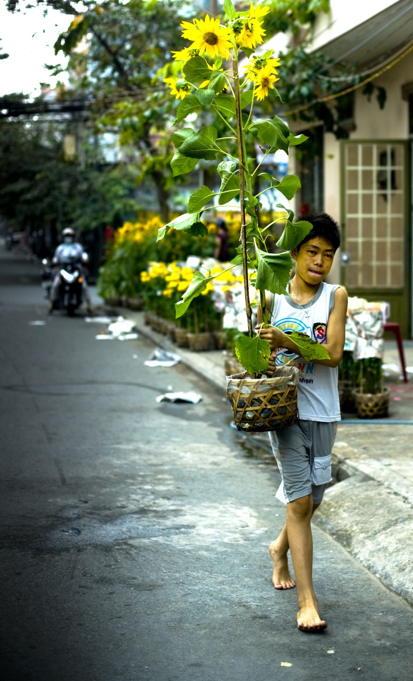 Nikon D3 sample photo. New year, flower, vietnam photography