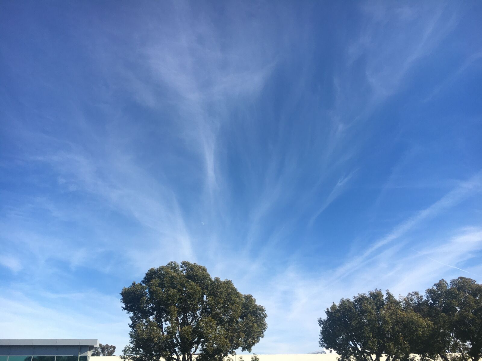 Apple iPhone 6s sample photo. Blue sky, light clouds photography