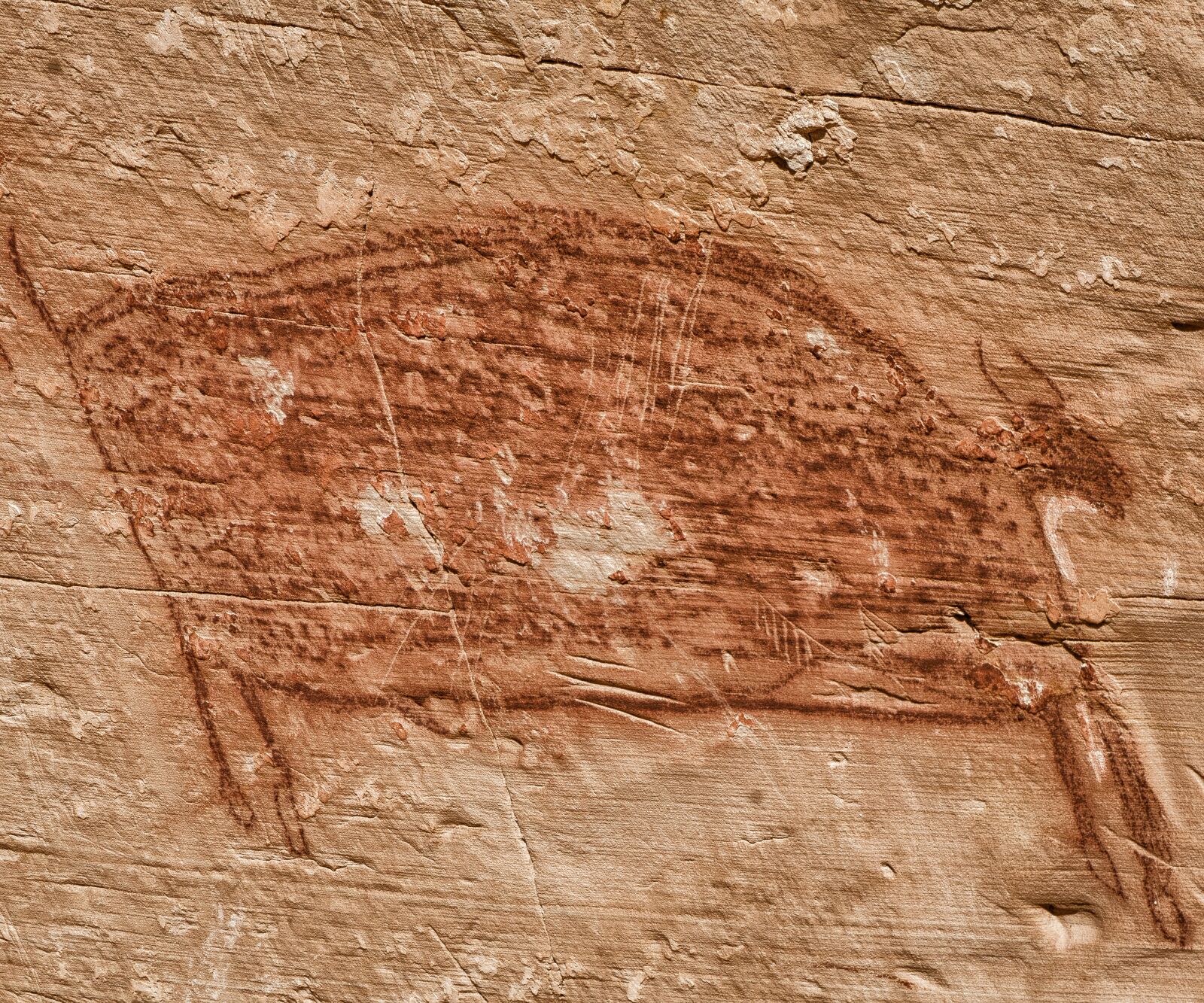 Nikon D7000 sample photo. Anasazi, rock art, art photography