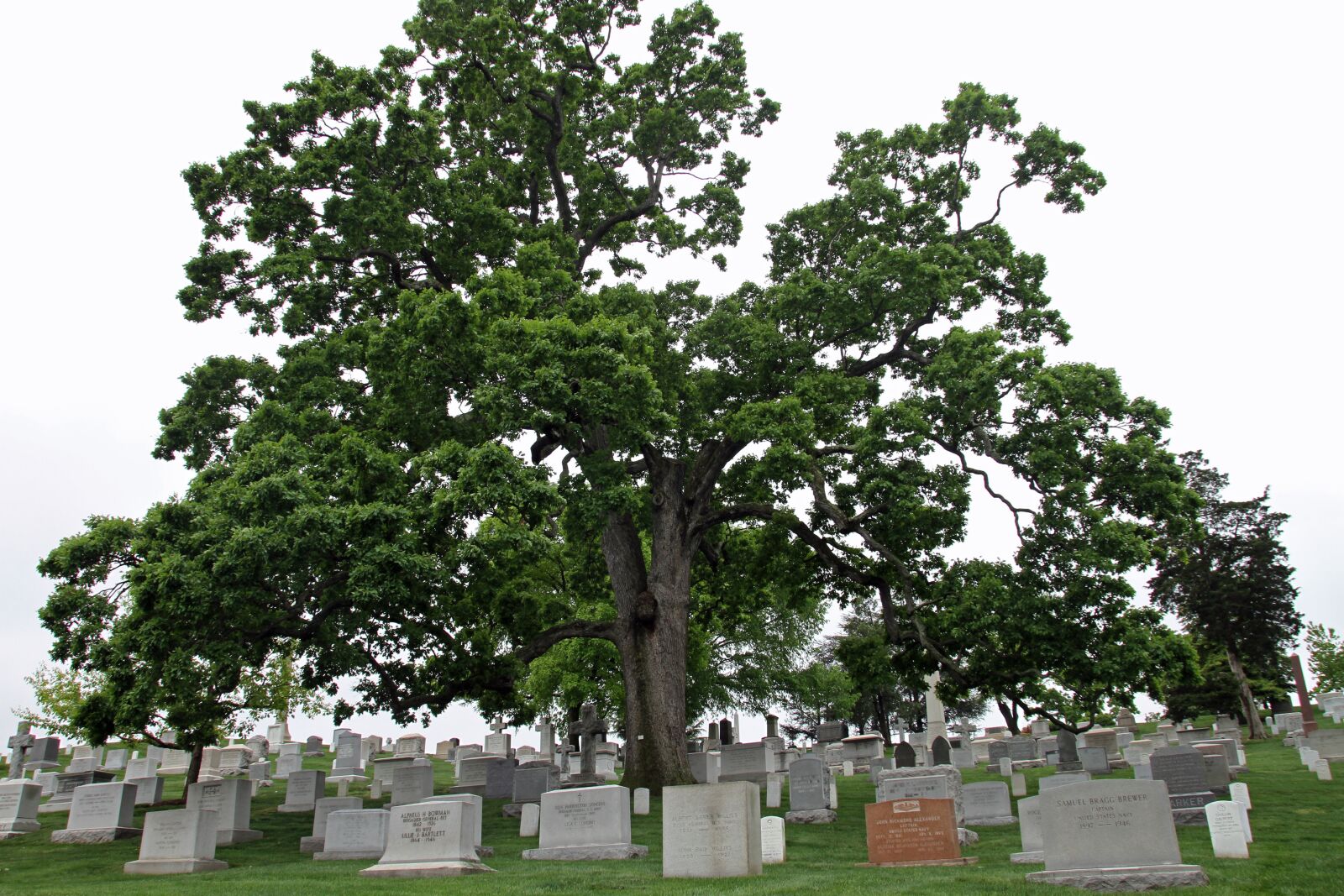 Canon EOS 7D sample photo. Cemetery, arlington national cemetery photography