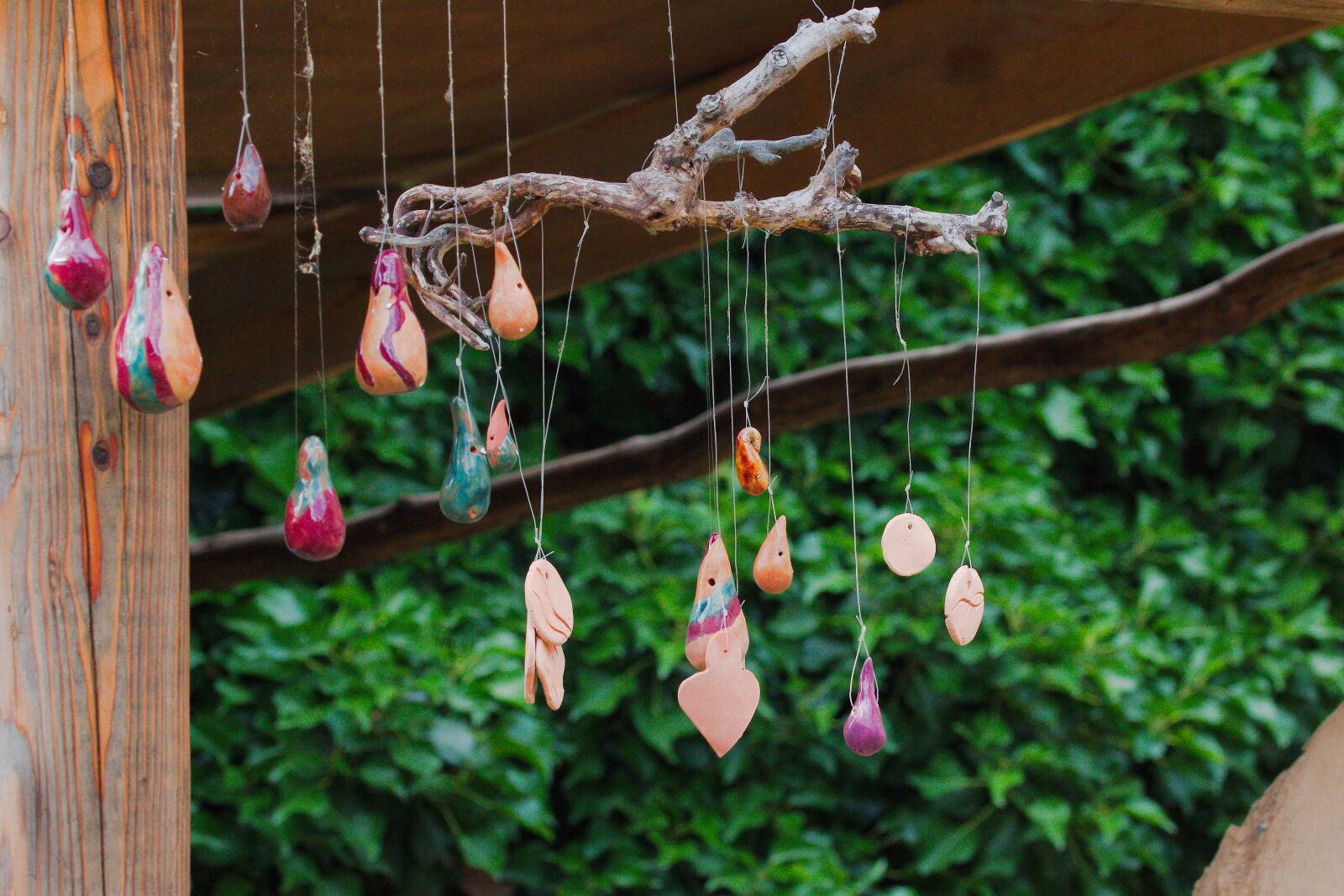Canon EOS 70D sample photo. Hang, wood, garden photography