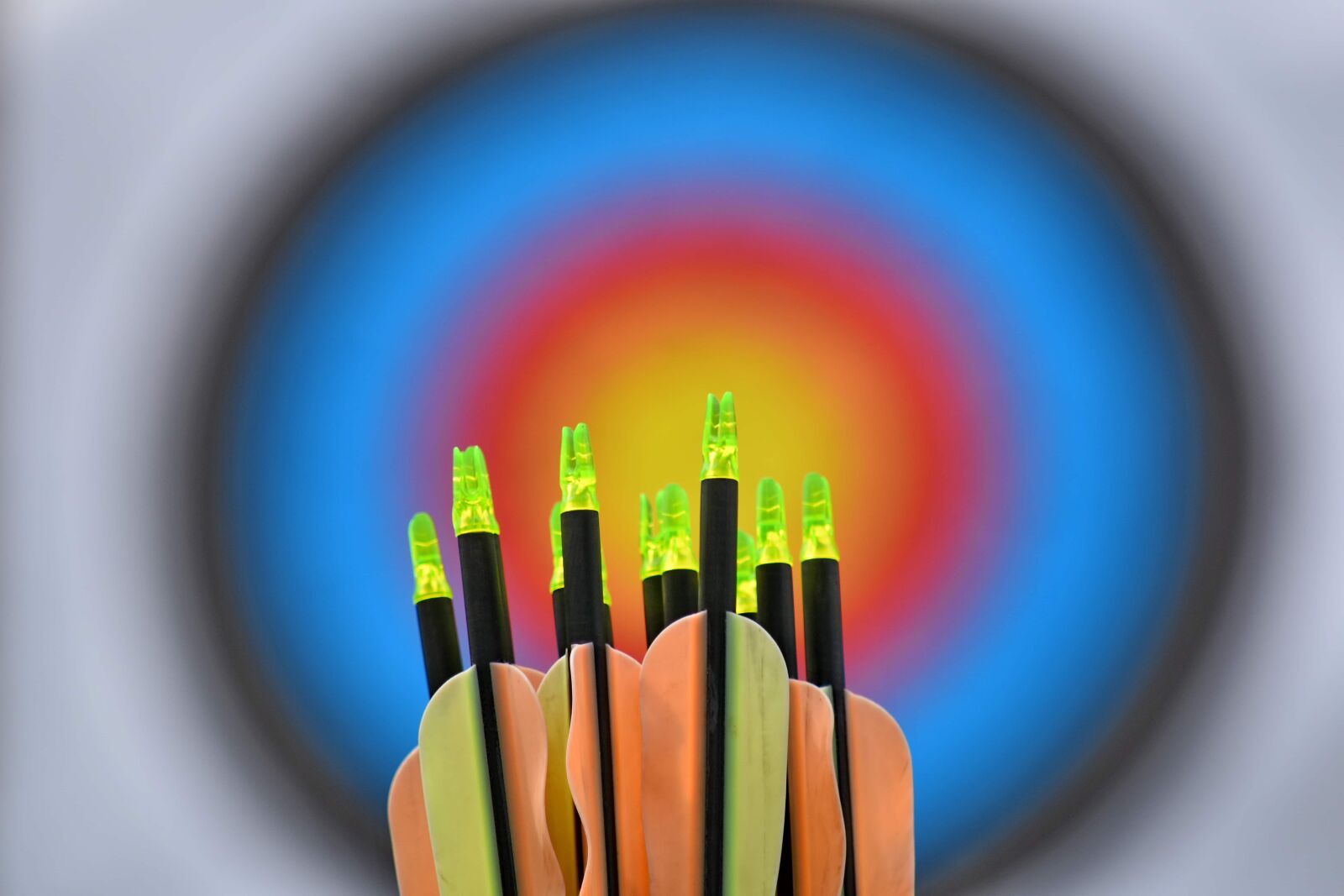 Nikon D5500 sample photo. Arrow, arrowhead, center, distance photography