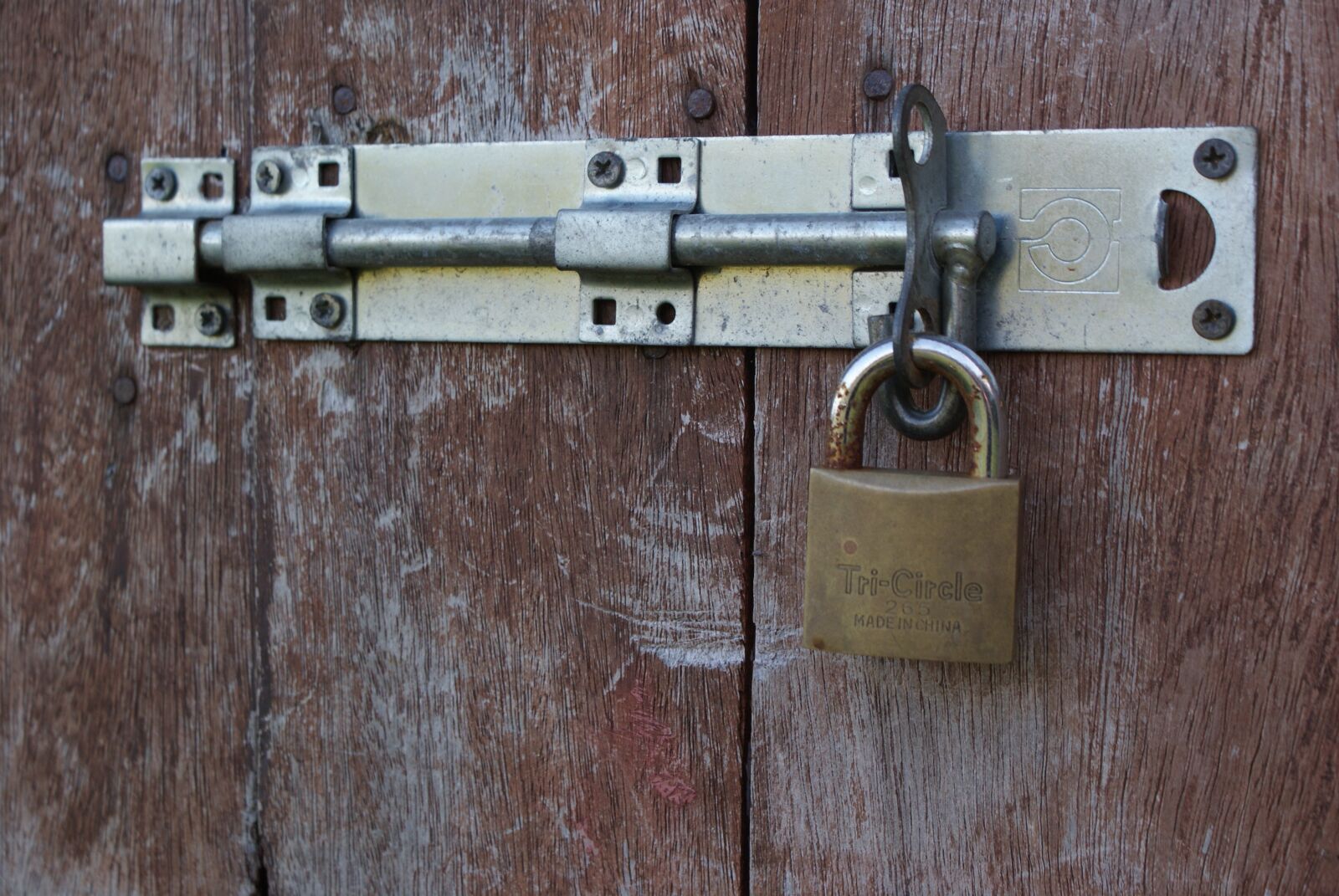 Sony Alpha DSLR-A200 sample photo. Castle, the door, metal photography