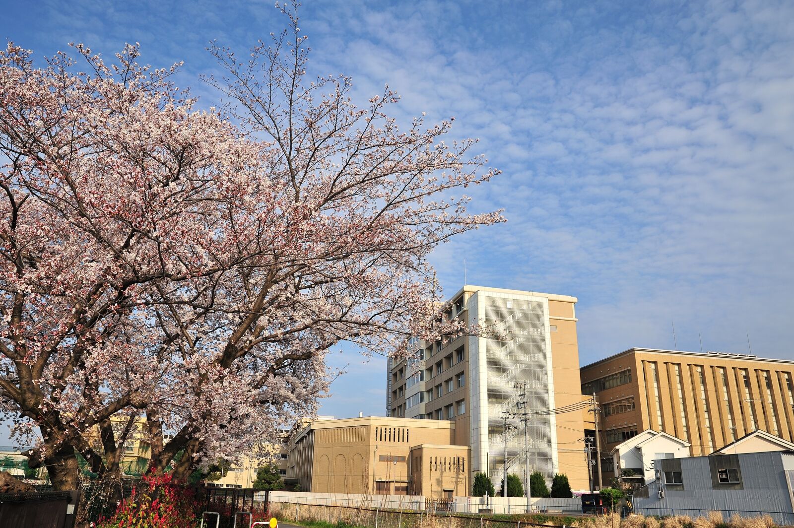 Nikon D700 sample photo. Wood, building, blue sky photography