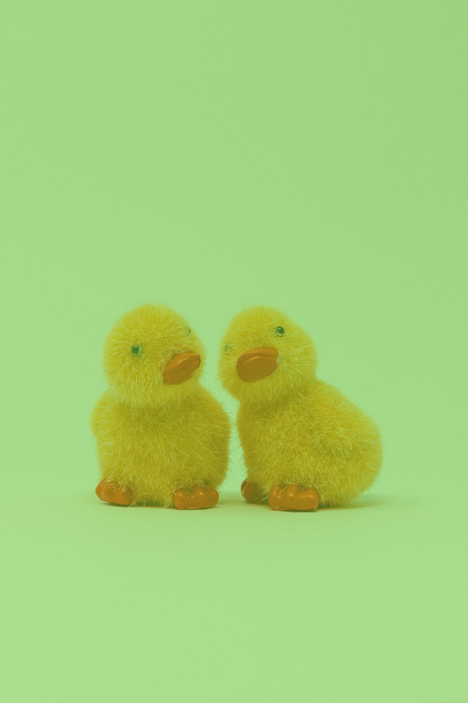 Canon EOS 6D Mark II + Canon EF 50mm F1.8 STM sample photo. Easter, chicks, yellow photography