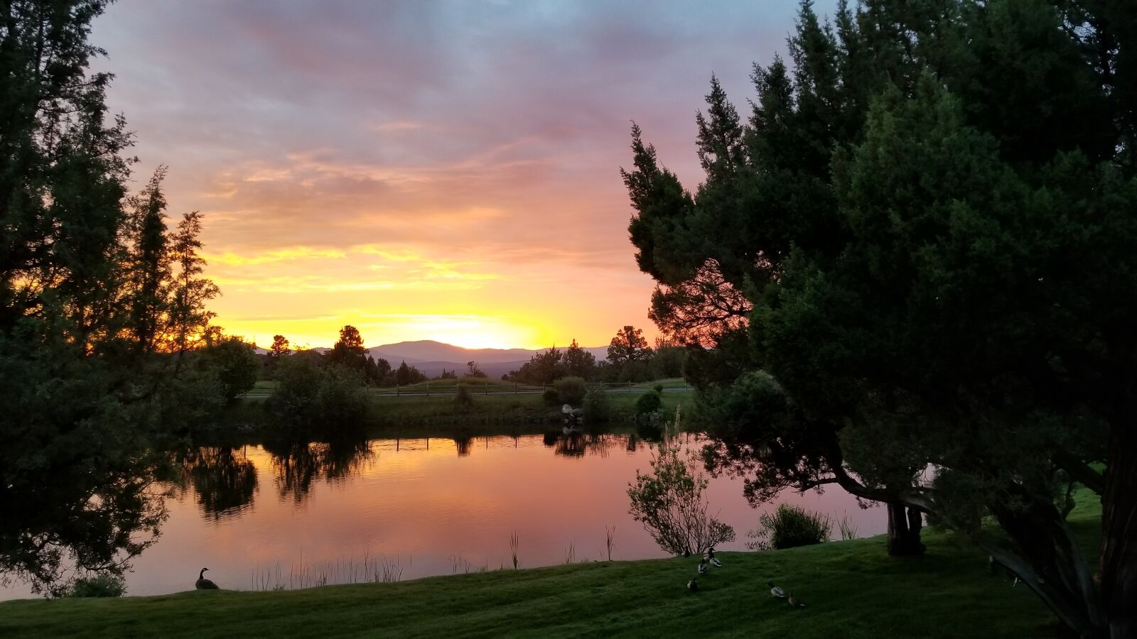 Samsung Galaxy S8+ sample photo. Environment, sunrise, sun photography