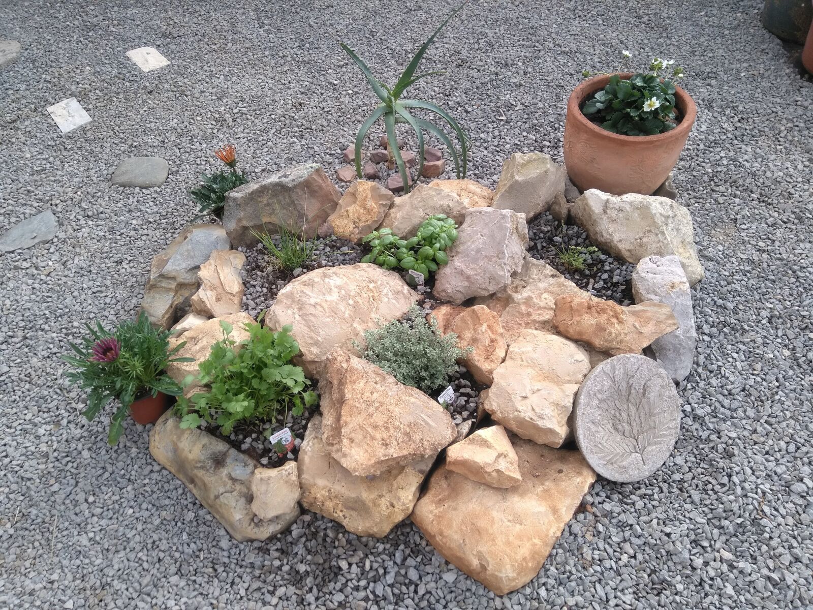 HMD Global Nokia 5 sample photo. Garden, stone, herbs photography