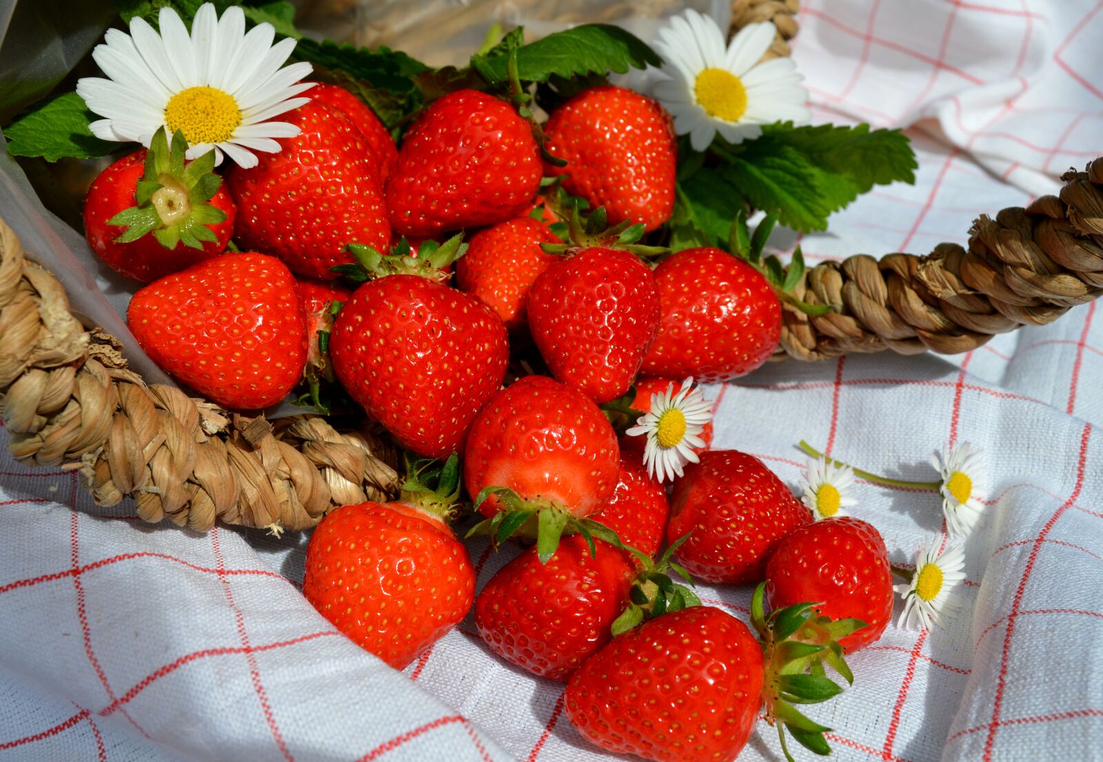 Nikon D3200 sample photo. Strawberries, fruit, basket photography