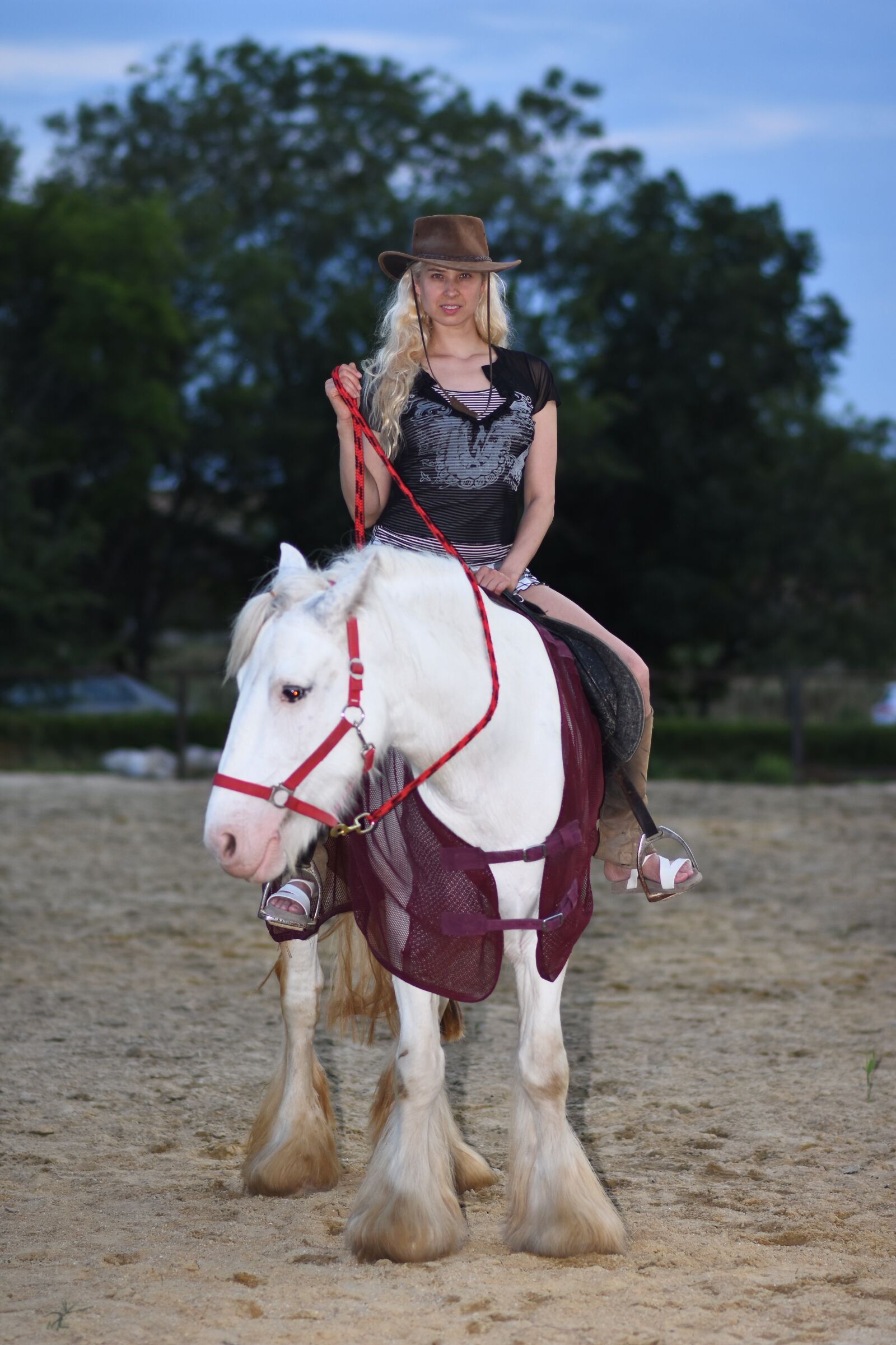 Nikon D7200 sample photo. Horse, ranch, riding photography