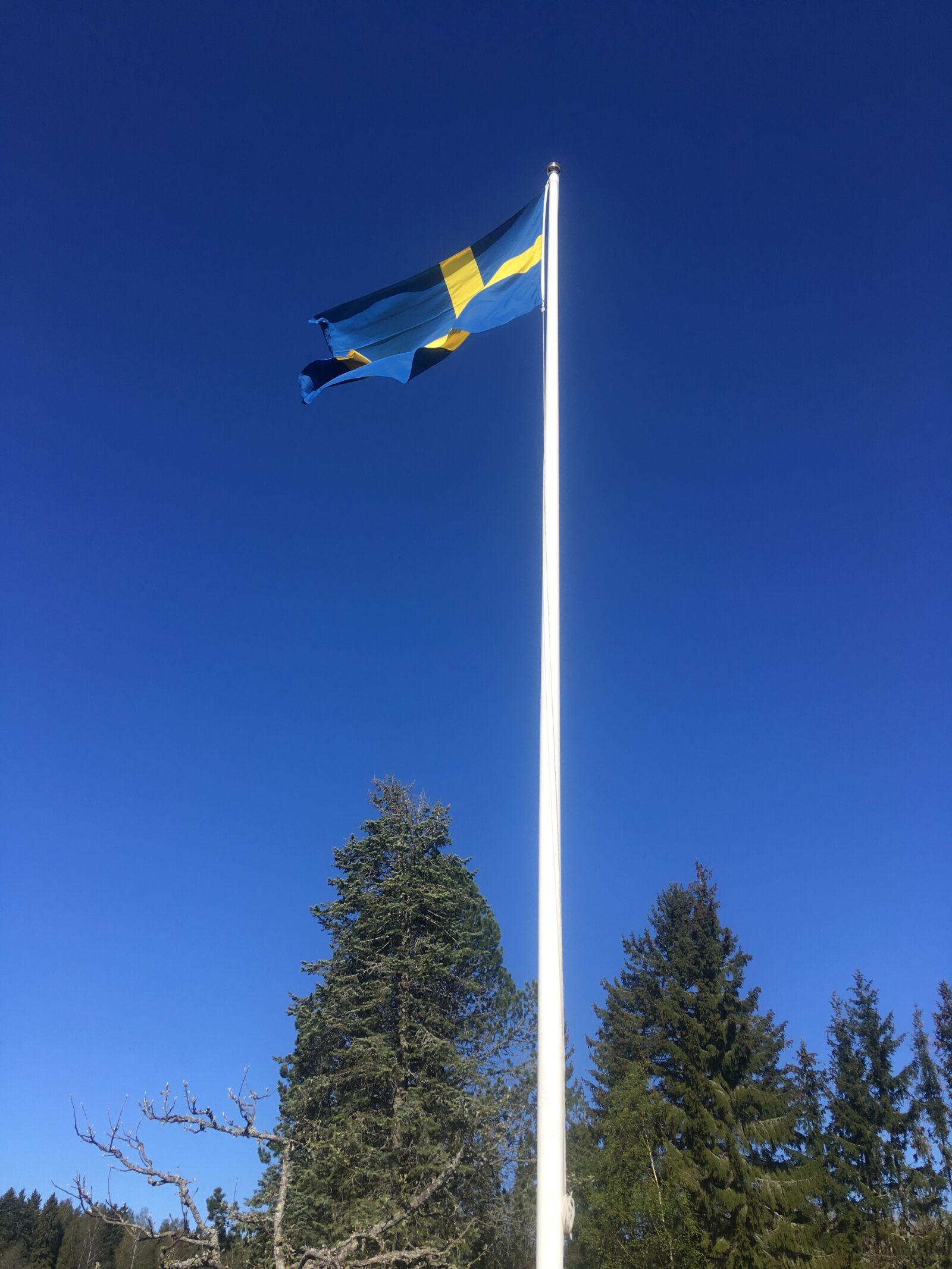 Apple iPhone SE sample photo. Flag, sweden, the symbol photography