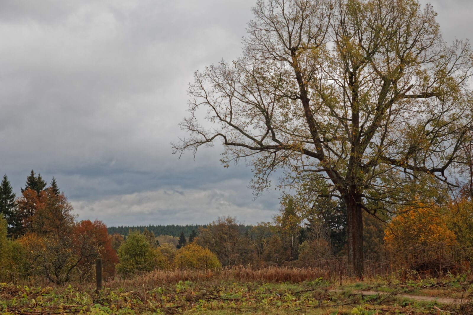 Canon EOS 1100D (EOS Rebel T3 / EOS Kiss X50) sample photo. Autumn, sky, clouds photography