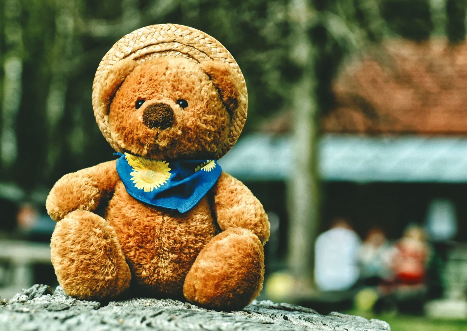 Nikon D3200 sample photo. Teddy, cute, soft toy photography