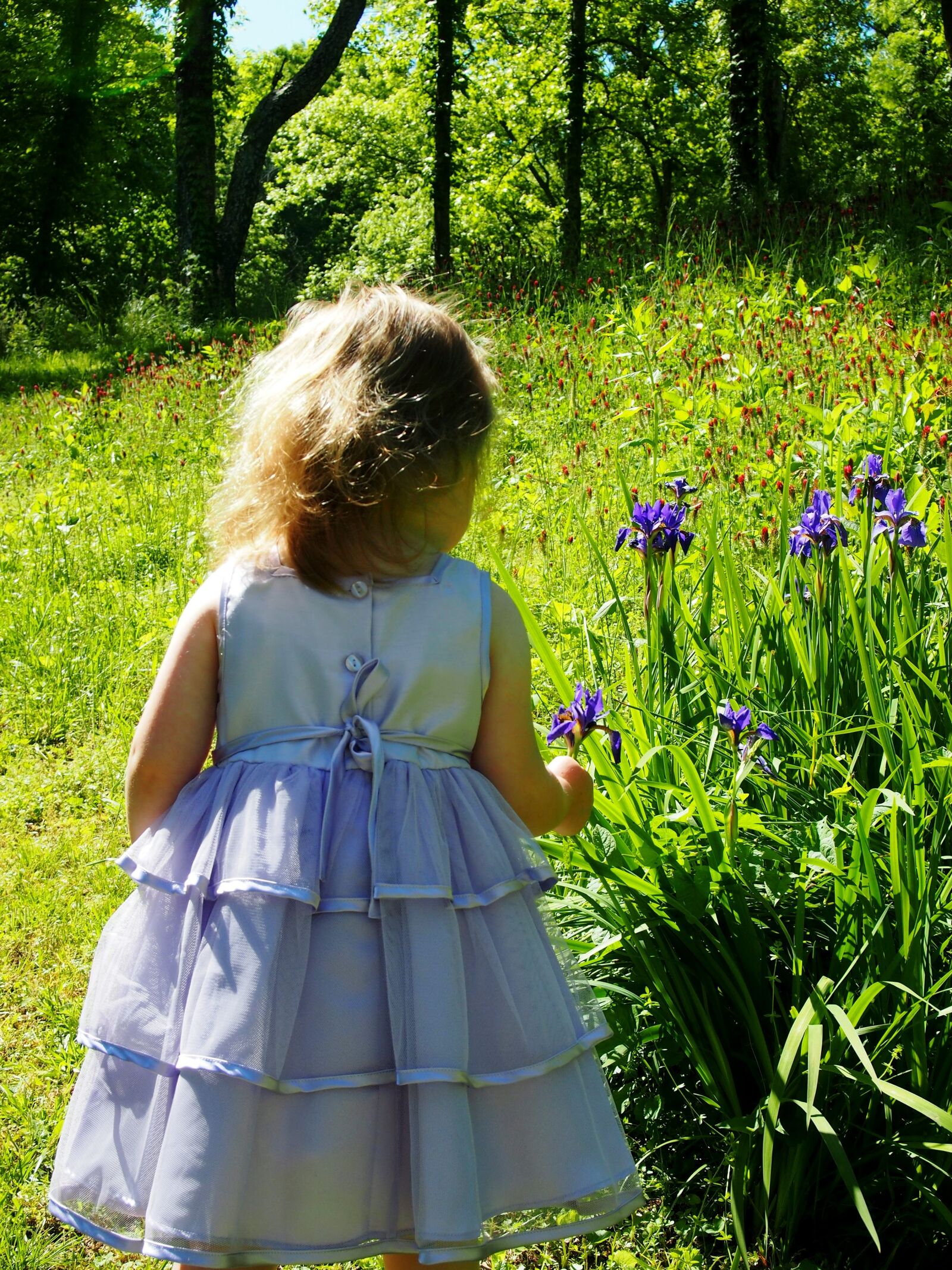 Olympus PEN E-PL3 sample photo. Little girl, purple dress photography