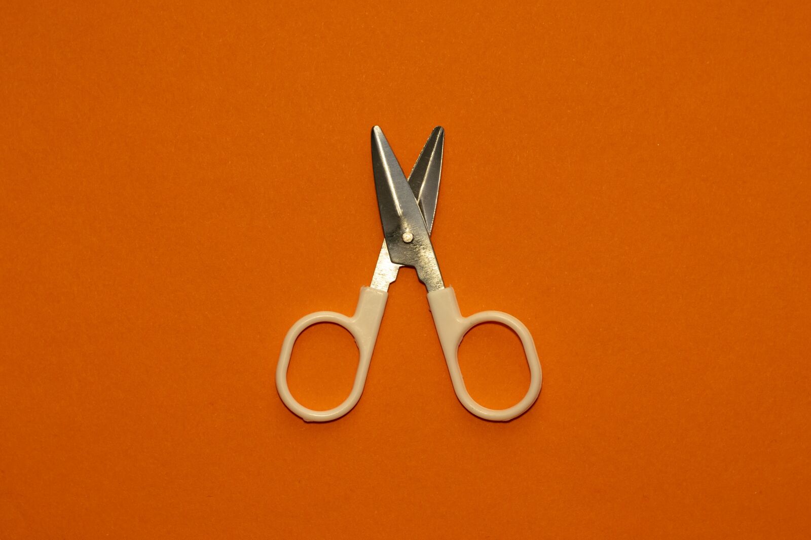 Nikon D5300 sample photo. Orange, scissors, tool photography