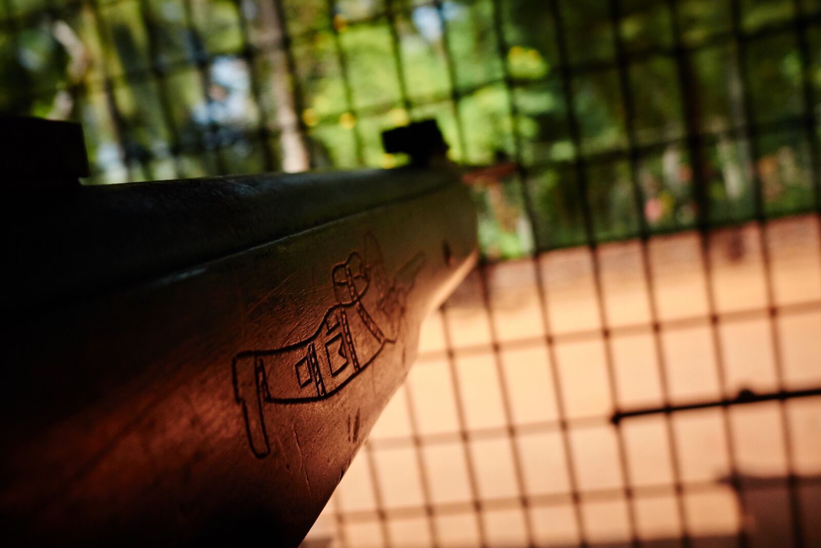 Sony Cyber-shot DSC-RX10 II sample photo