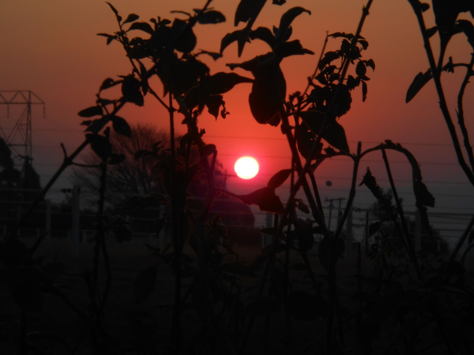 Nikon Coolpix S3300 sample photo. Sunset, dusk, sun photography