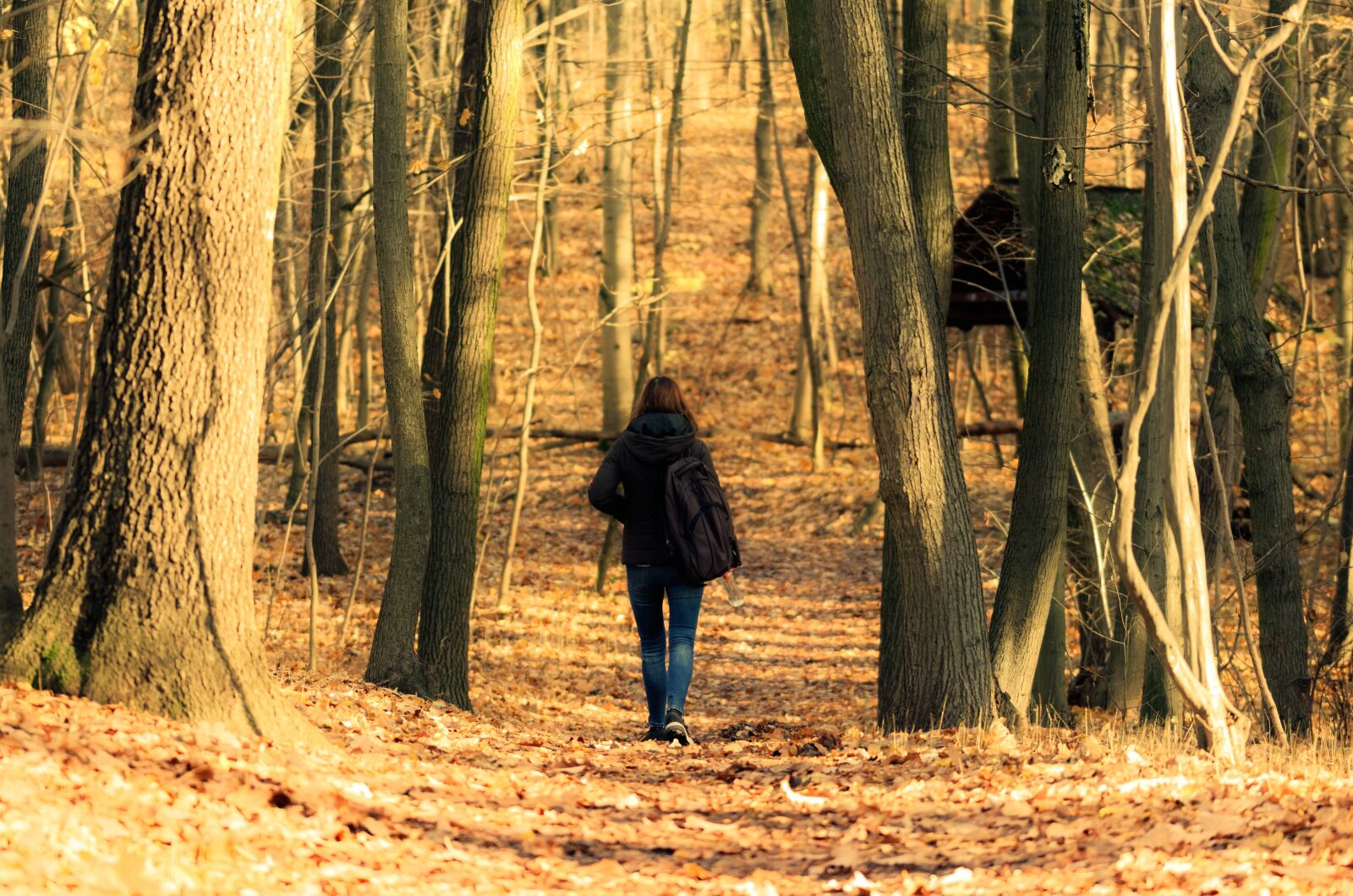 Nikon D5100 sample photo. Person, woman, jeans photography