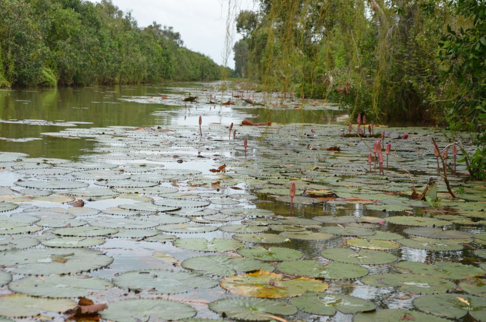 Nikon D7000 sample photo. Wave, bo, water photography