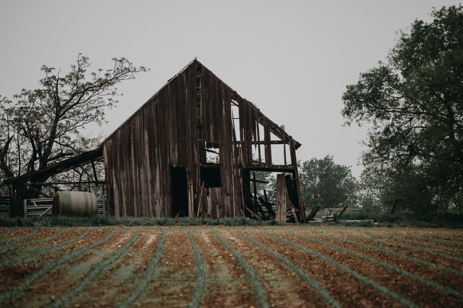 Canon EOS R sample photo. Barn, grass, rural photography
