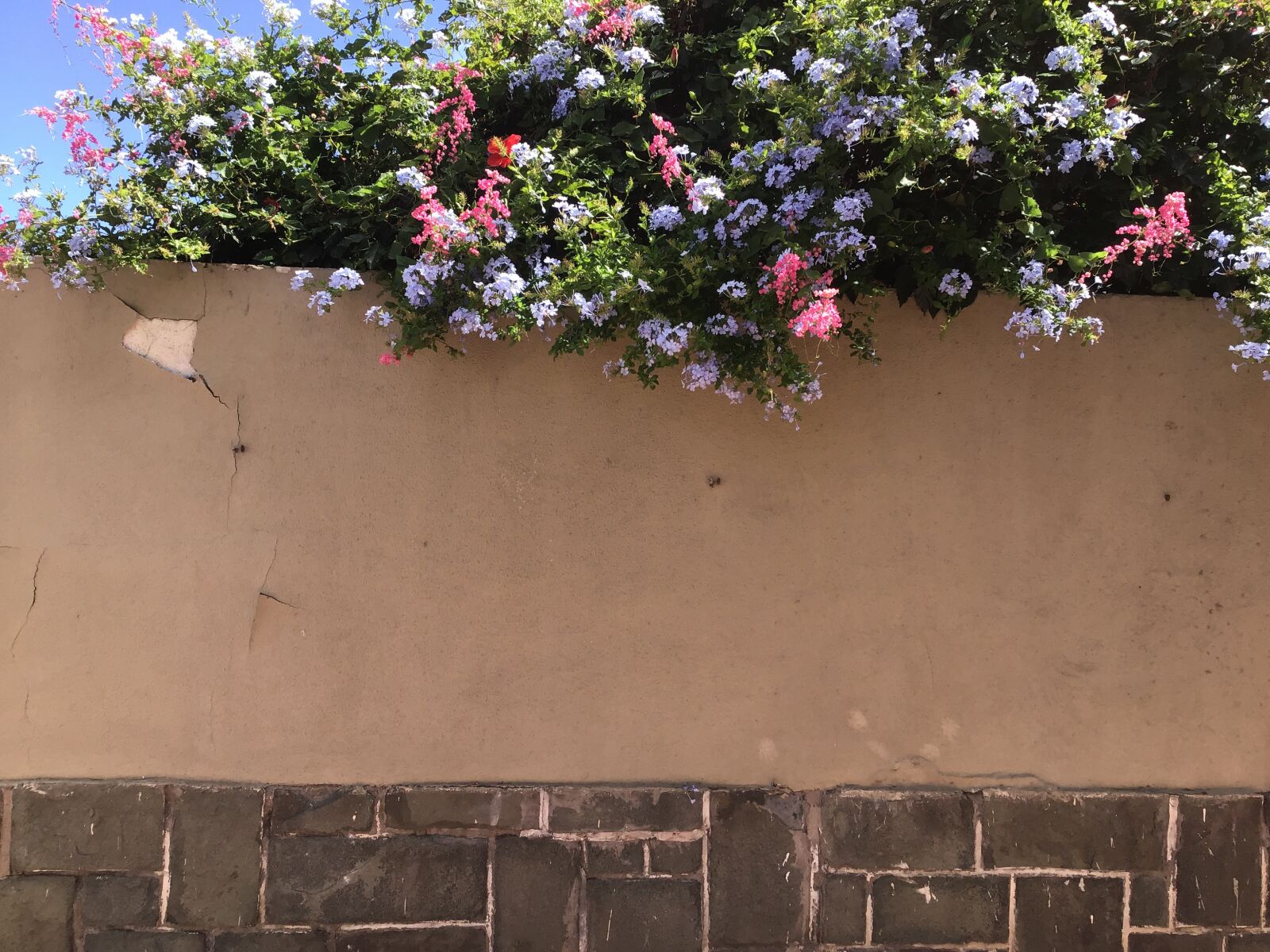 Apple iPad (6th generation) sample photo. Wall, garden, fence photography