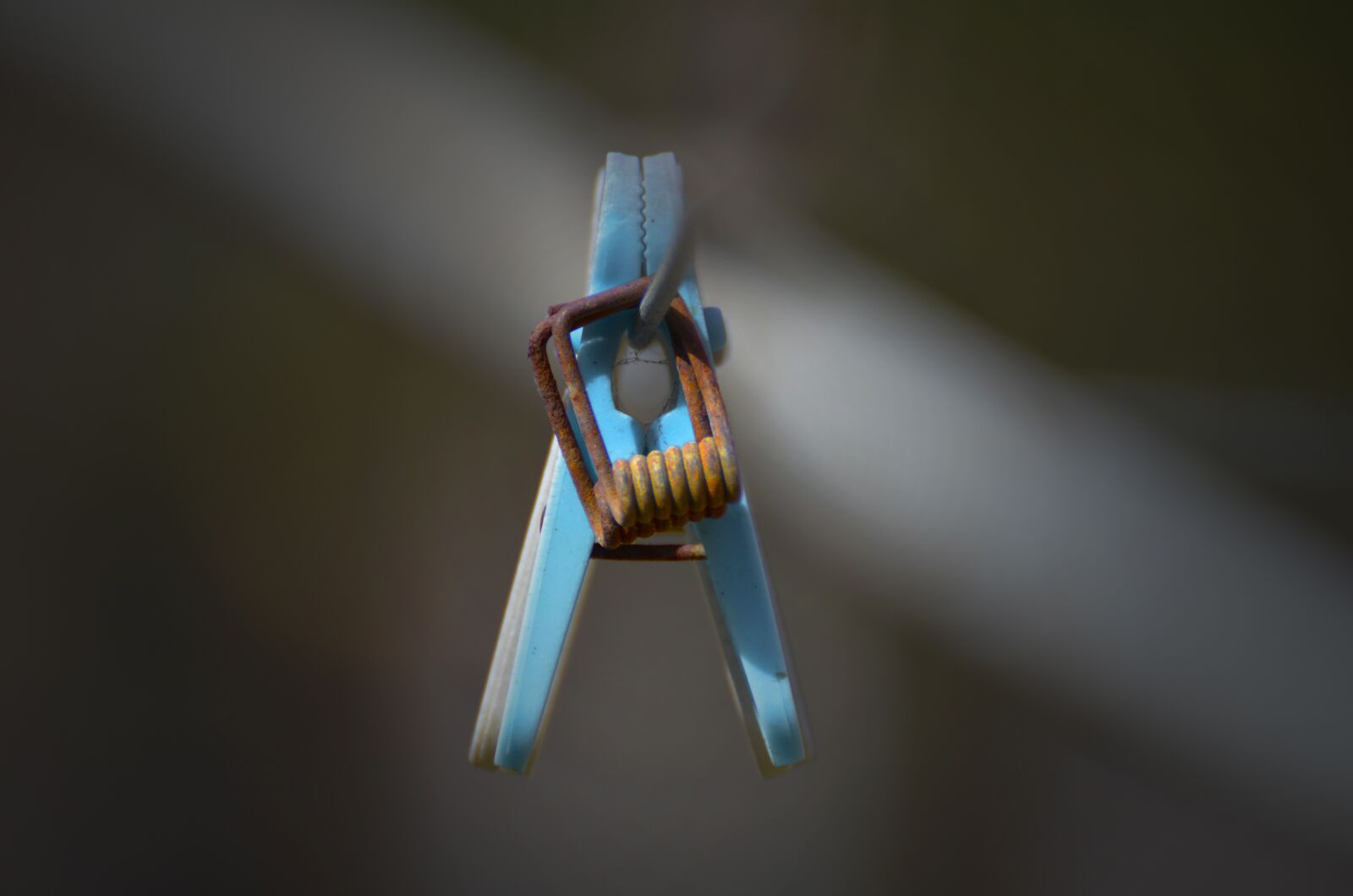 Nikon D7000 sample photo. Outdoors, abstract, connection photography