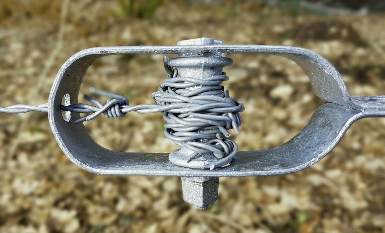 Samsung Galaxy S7 sample photo. Barbed wire, fence, fencing photography