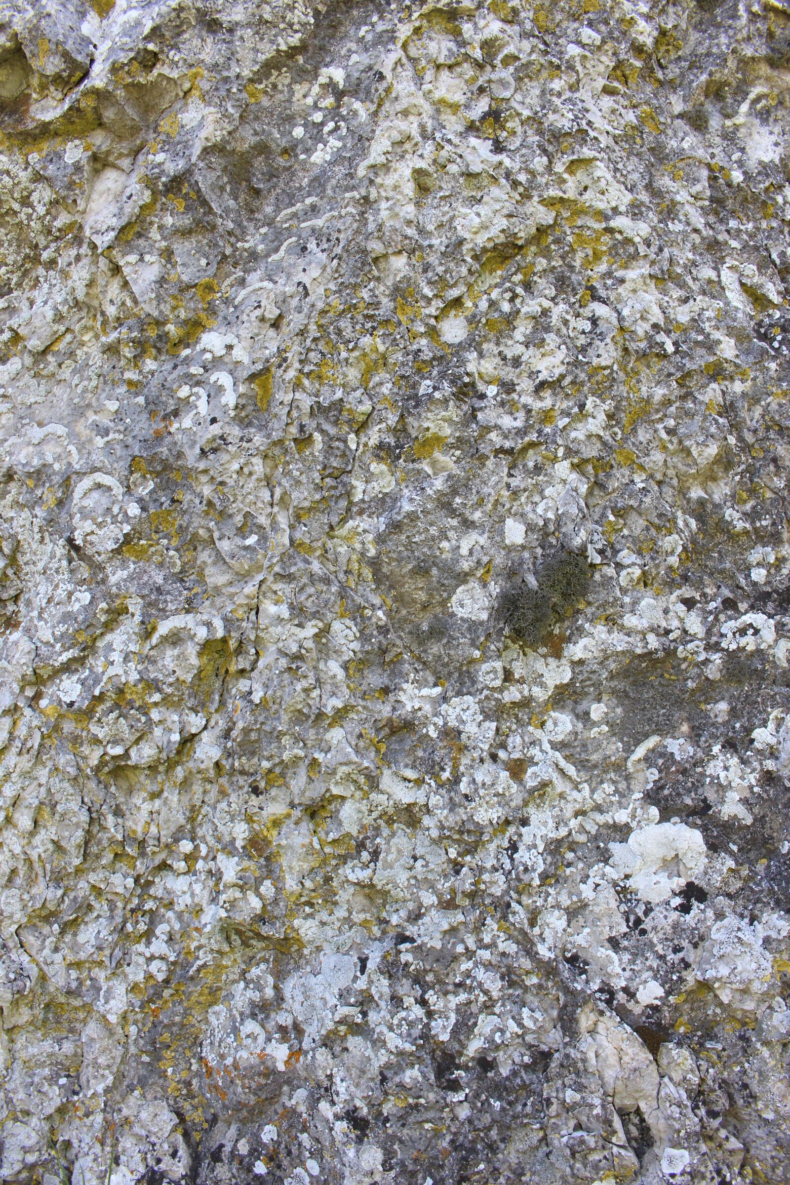 Canon EOS 700D (EOS Rebel T5i / EOS Kiss X7i) sample photo. Stone, rock, background photography