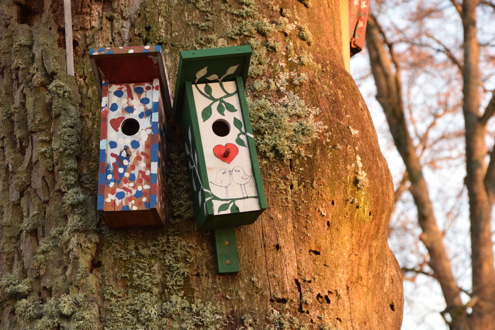 Nikon D3300 sample photo. Autumn, bird, house, birds photography