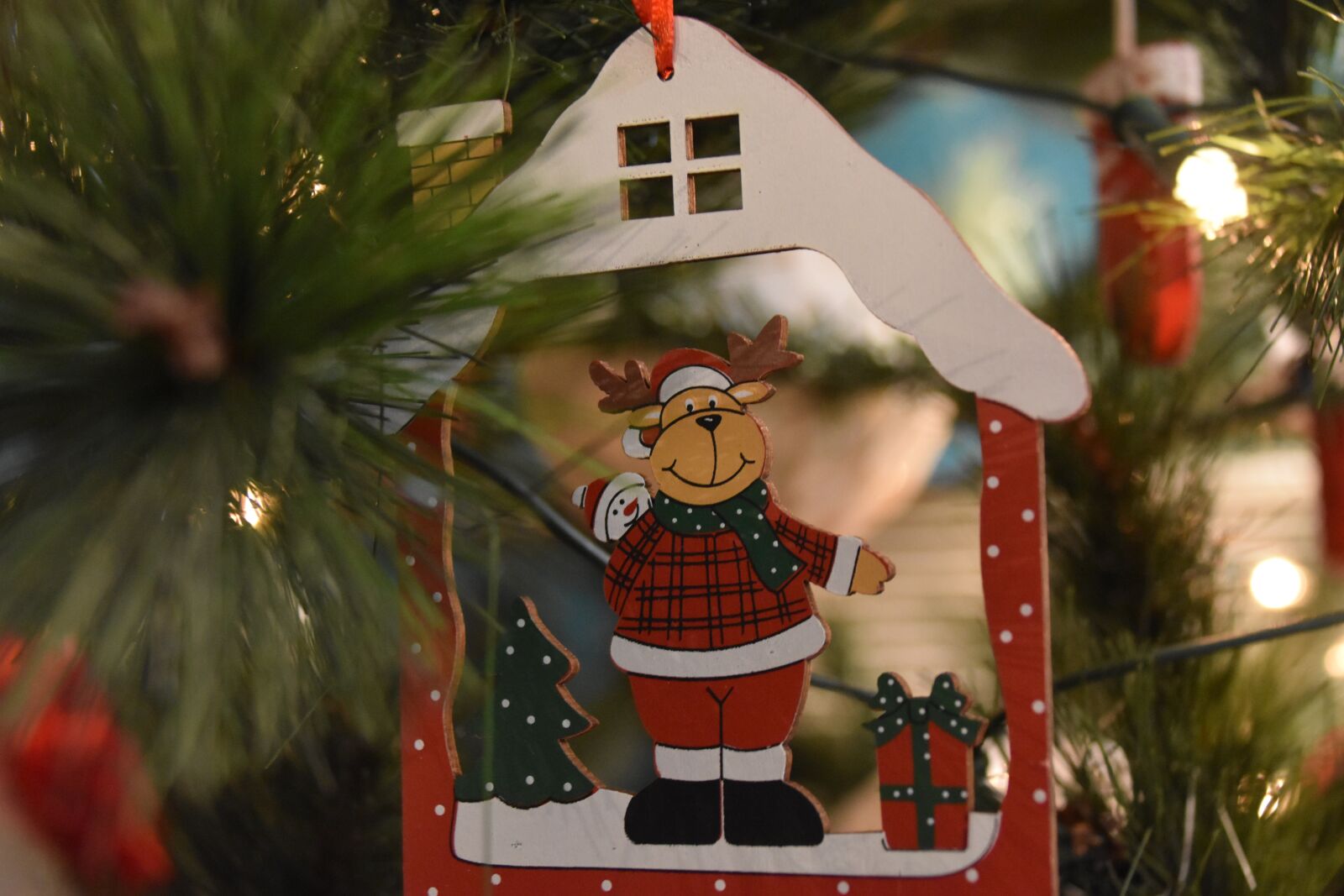 Nikon D5500 sample photo. Fir, christmas, decoration photography