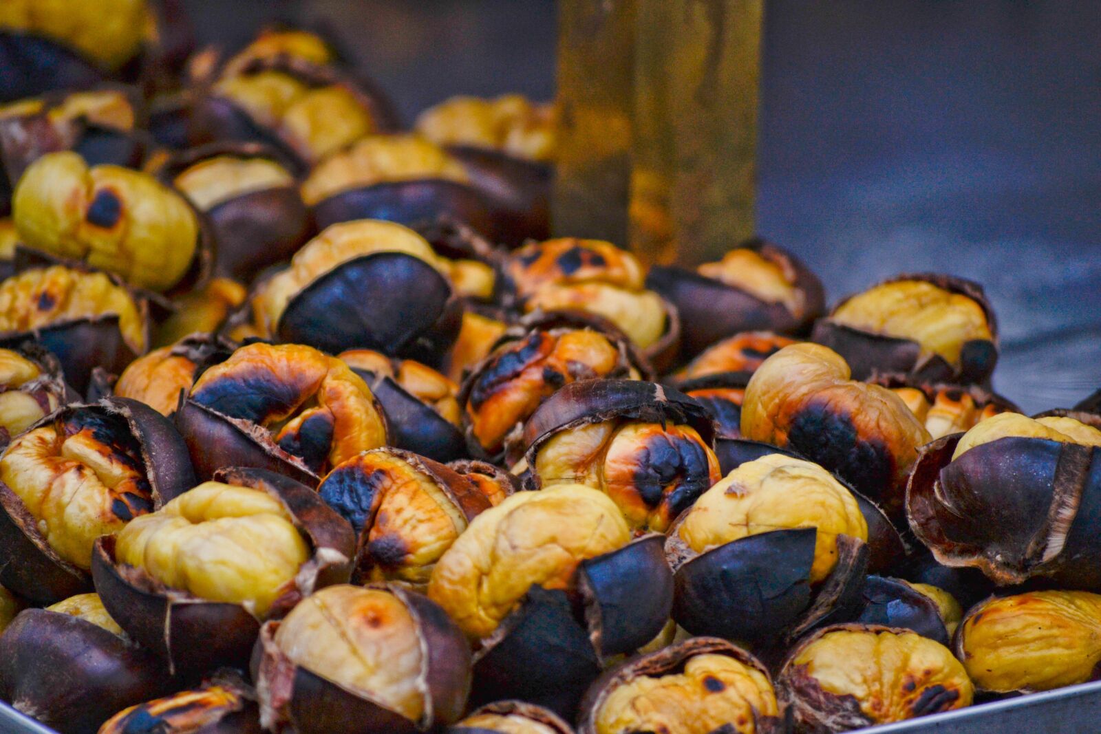 Nikon D3100 sample photo. Autumn, chestnuts, brown photography
