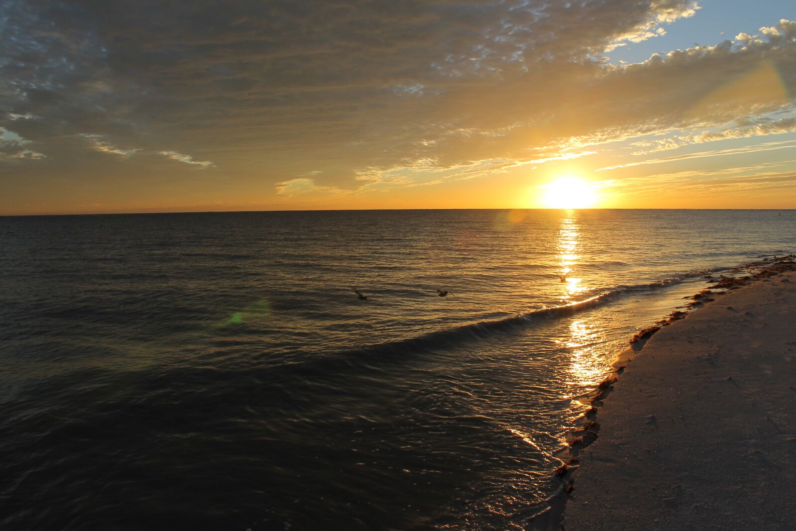 Canon EOS 1100D (EOS Rebel T3 / EOS Kiss X50) sample photo. Sunset, fort, meyers photography