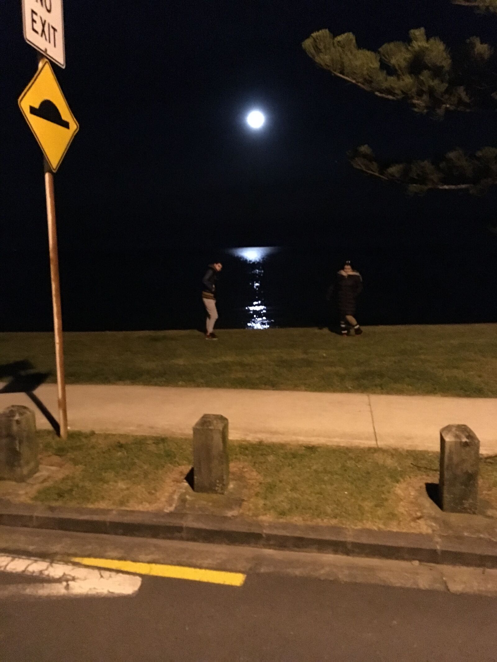 iPhone SE back camera 4.15mm f/2.2 sample photo. Moon, in, browns photography