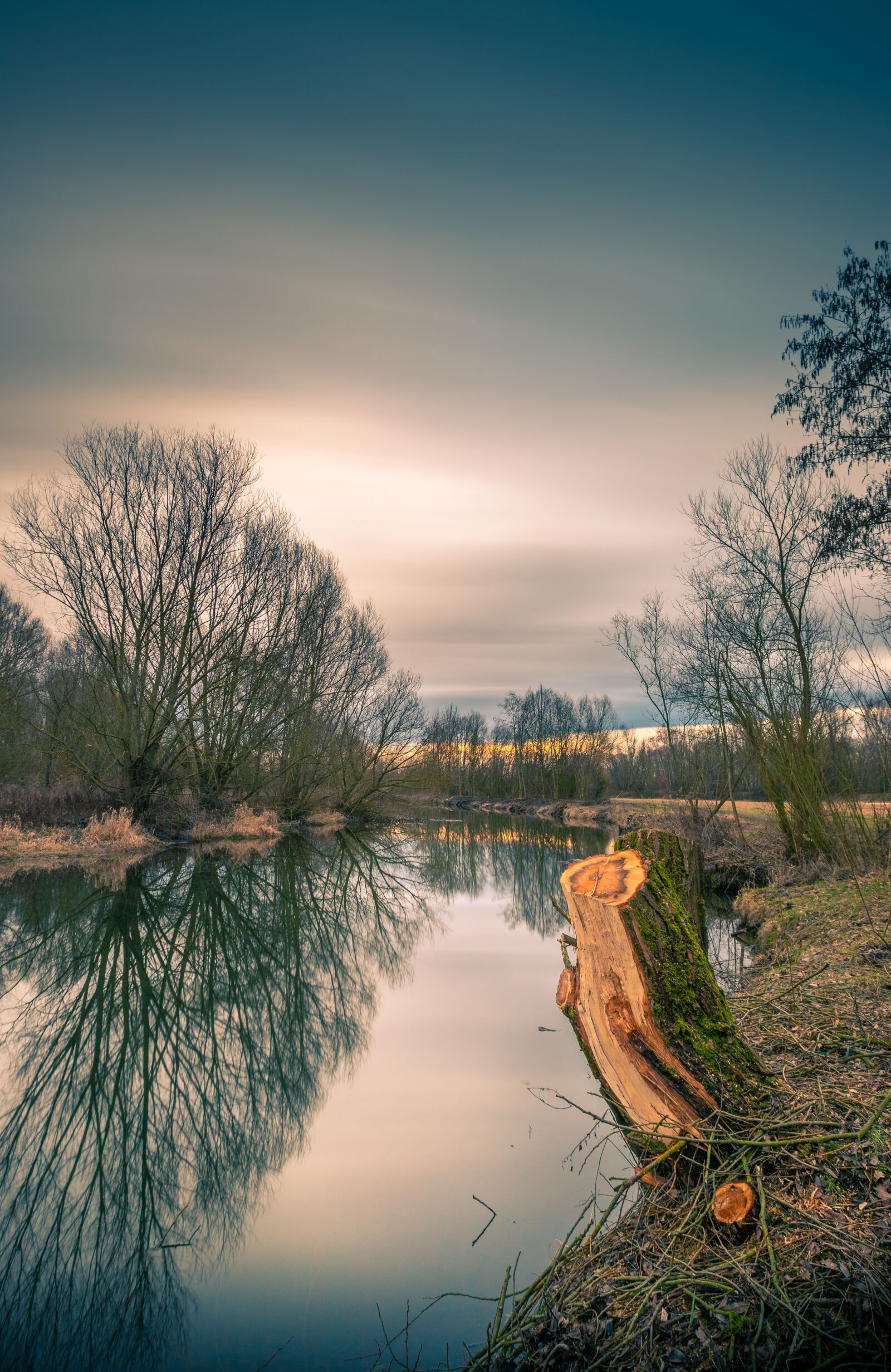 Canon EF 16-35mm F2.8L USM sample photo. Climate protection, breathe, nature photography