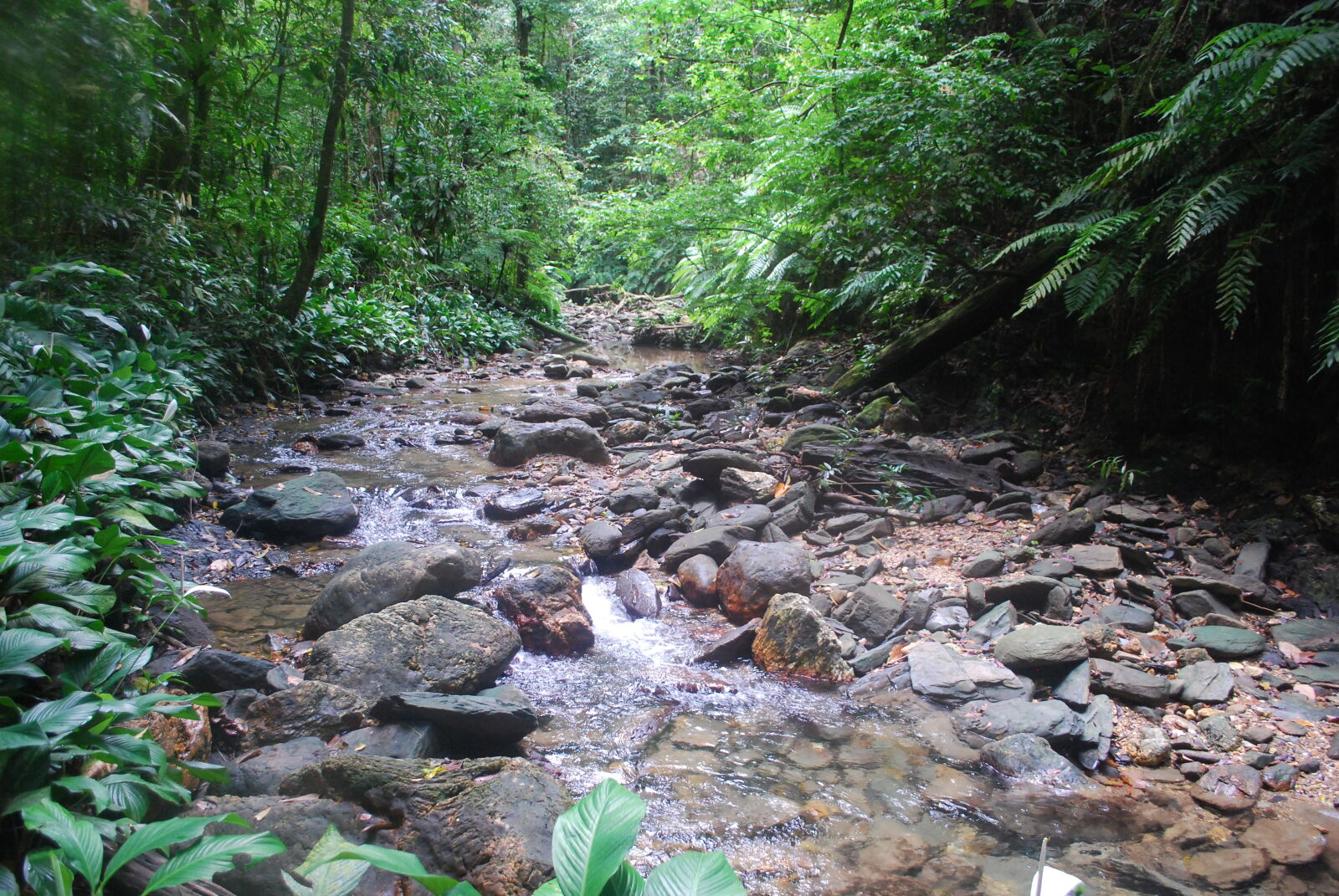Nikon D60 sample photo. Hike, island, mountain, river photography