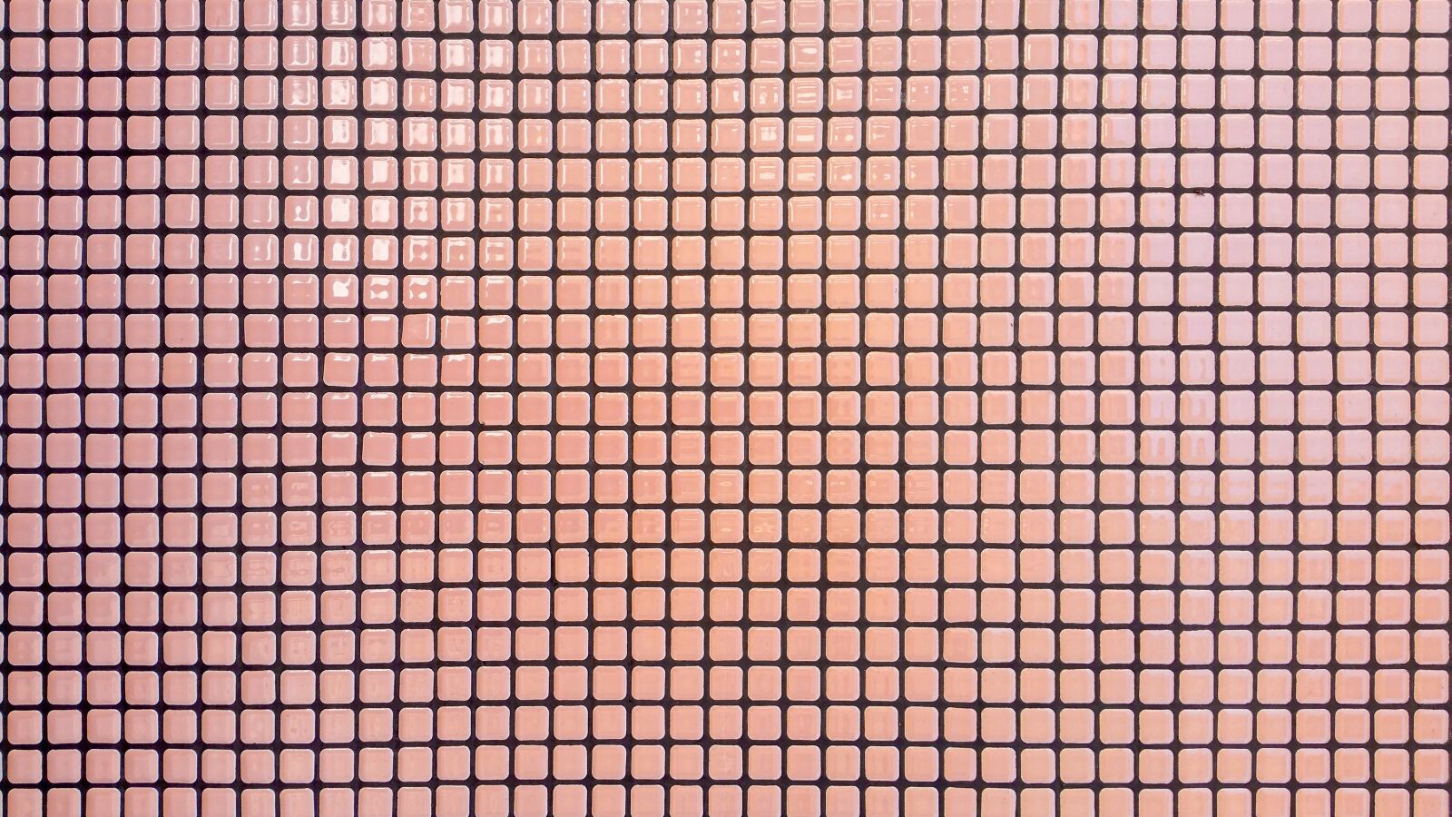 Samsung Galaxy Note4 sample photo. Texture, pattern, net photography