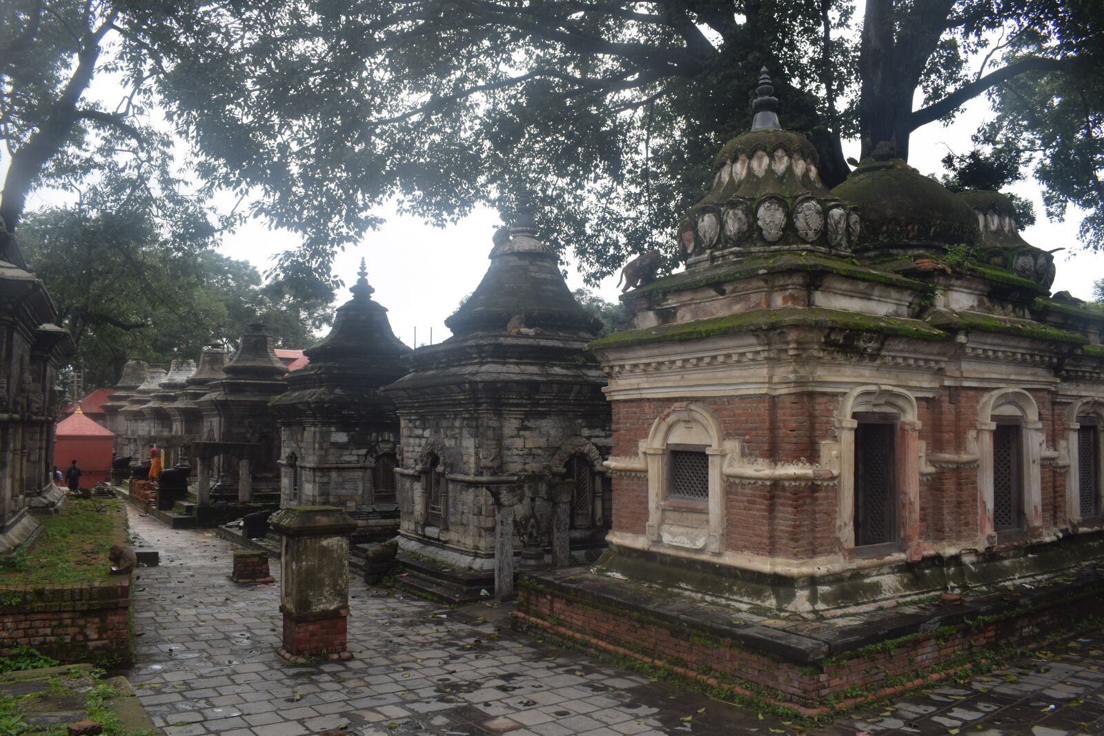 Nikon D5300 sample photo. A stupa, temple, good photography